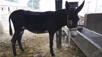 中国人在非洲都干了什么,说说那些有趣的事
