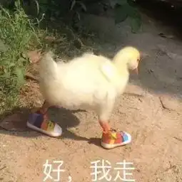 表情包当代人脸上根本没什么表情