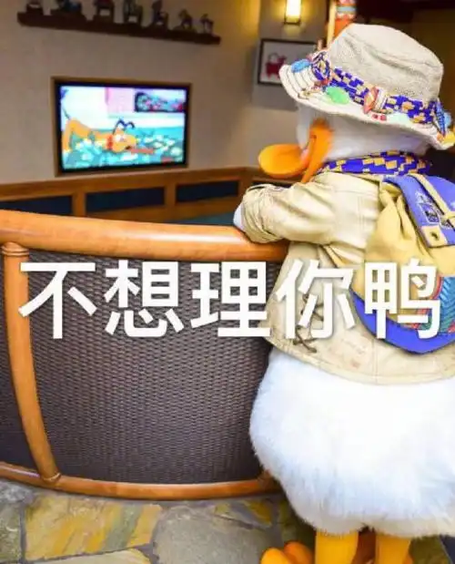 最近很火的鸭鸭表情包元气满满鸭很棒棒鸭
