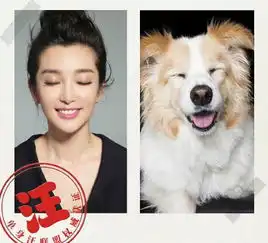 李冰冰模仿狗狗表情自嘲光棍节快乐图
