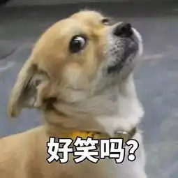 你小子飘了是吧搞笑表情包
