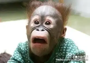 不是跟你们吹,做这种题我就没错过独特的连线搜狐搞笑搜狐网
