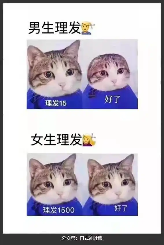 有哪些搞笑的图片
