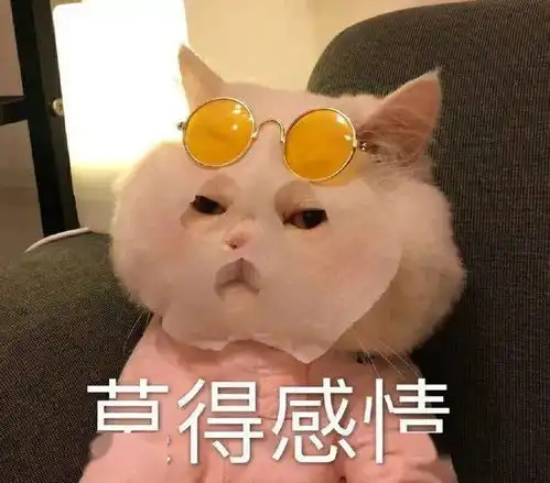 乱七八糟的沙雕表情包,我可太喜欢了
