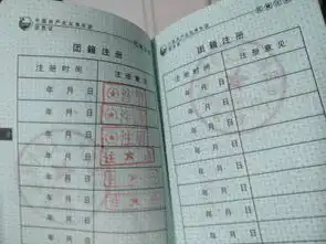 领证纸都填什么
