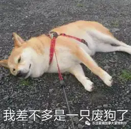 高燃3d魔幻手游北美魔神蒙特利尔首服火爆开启下载就领豪华首充大礼包