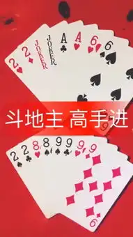 欢乐斗地主表哥吖的主页快手直播
