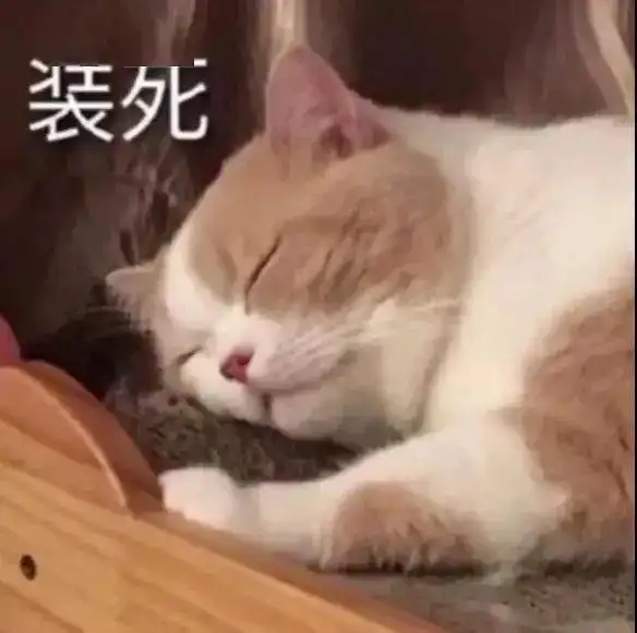 神装秀手拿双手核武灯烛身法敏捷的彩光司星,项链属性太过犯规
