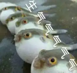 有剧毒,不能吃严重可致命无特效药