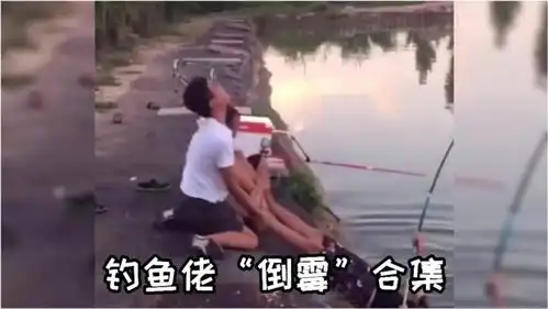爆笑视频盘点那些社死的钓鱼佬,这什么鱼啊,费杆又费人

