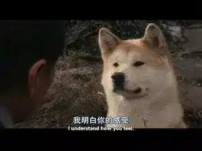 现代人的社交恐惧在吗