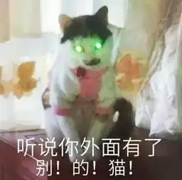 一大波蛇精猫表情包来袭,要斗图的拿走不谢
