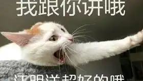 洋哥的早晨
