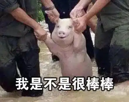 2017最新网红表情包出炉哈哈哈,够我笑一年...
