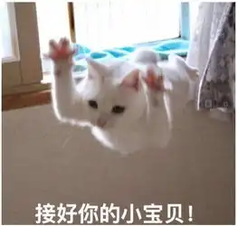 热的图片带字搞笑头像图片