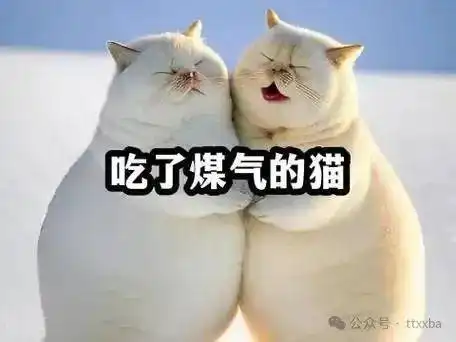 爆笑经典天气搞笑冷笑话,今天天气特好心情也好,就去门口买手抓饼
