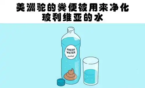 关于玻利维亚的29个冷知识,您知道几个开放贫穷的国度
