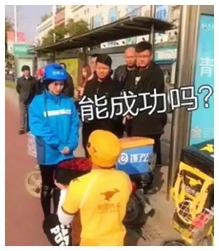 每日一笑喵星人,你快点下来,吹空调不用爬那么高
