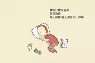 一千个懒床的理由
