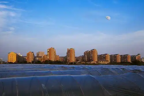 美丽城镇箬横镇主题摄影比赛结果出炉了,一大波靓照等你来欣赏
