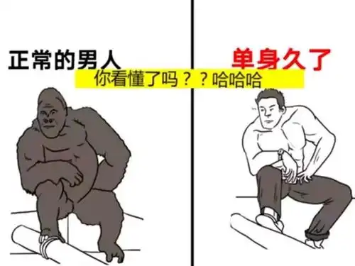 搞笑趣图当小时候的我捡到一根很酷的树枝时
