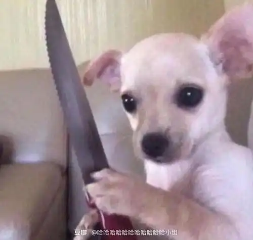 慎独的广播
