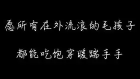 搞笑给猫用的手机app猫脸配搞笑表情贴图

