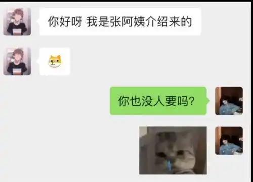 神回复相亲对象,你也没人要吗
