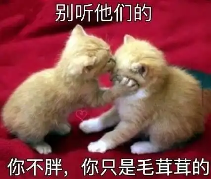 为什么你这么胖,人家那么瘦这下终于知道原因了吧
