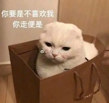 单身久了,看狗子都觉得眉清目秀丨节操睡了

