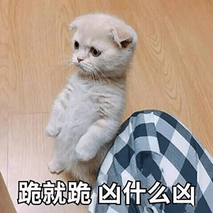热门表情包第17期
