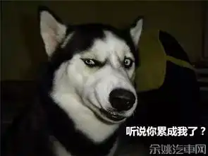 听说汪星人都改做二手车了
