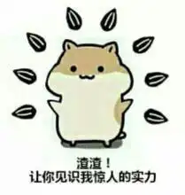 圣诞元旦即将来袭,博士园又放出来一些优惠