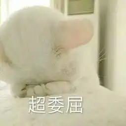 熊二委屈巴巴表情包