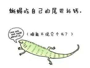 有趣的冷知识二
