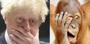 英报拿伦敦市长开涮他多像只红毛猩猩

