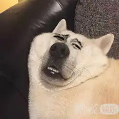 搞笑幽默图片搞笑