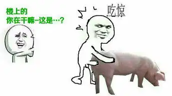 求很搞笑的猪的图片
