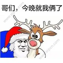 圣诞帽表情包下载圣诞帽搞笑表情包图片v1.0下载清风安卓软件网
