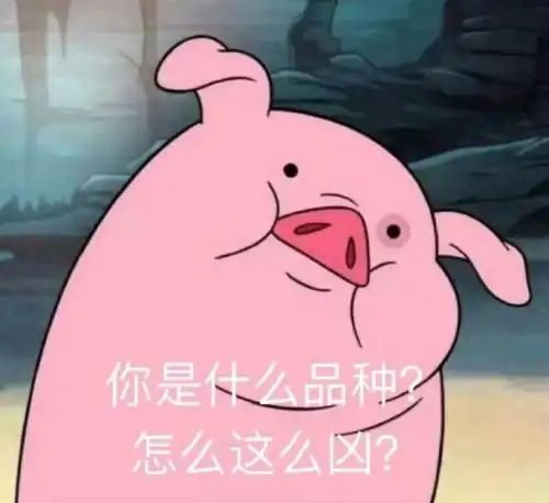 假如生活伤害了你,千万别忘了发个朋友圈