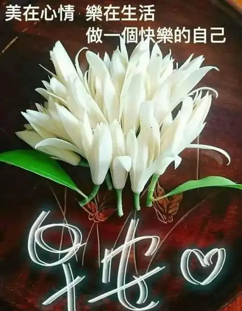 周五最新版早安问候语录祝福图片带字最美早上好问候表情早安动图
