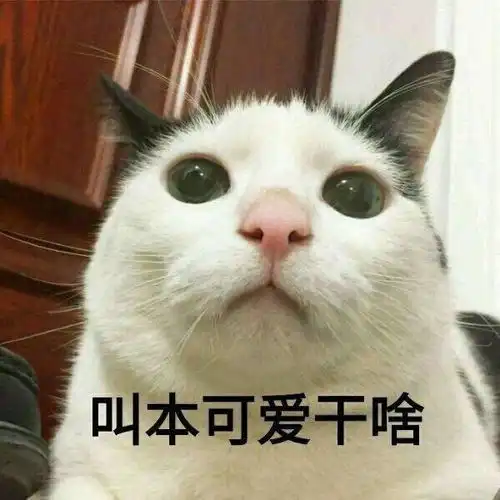 笑话不管我怎么拒绝你,你都会出现在我的生活里

