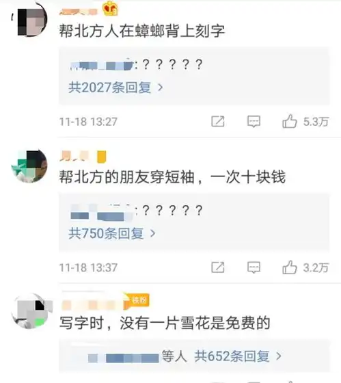 北方下雪南方人最激动一组图看看南北方下雪的差异
