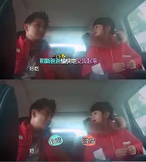 爸爸换子乌龙爆笑王诗龄父女史上最呆萌
