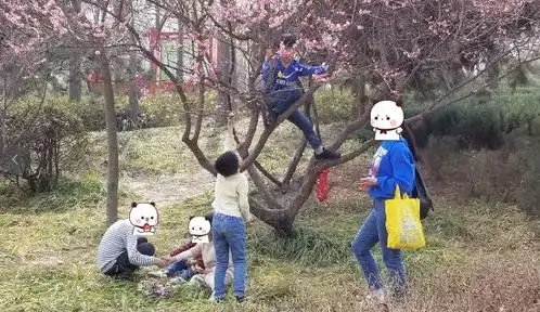 濮阳这个公园里孩子在爬树,而家长.....
