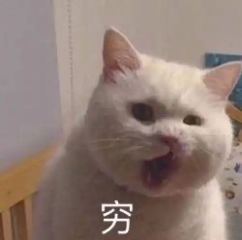 来一波可爱搞怪的头像
