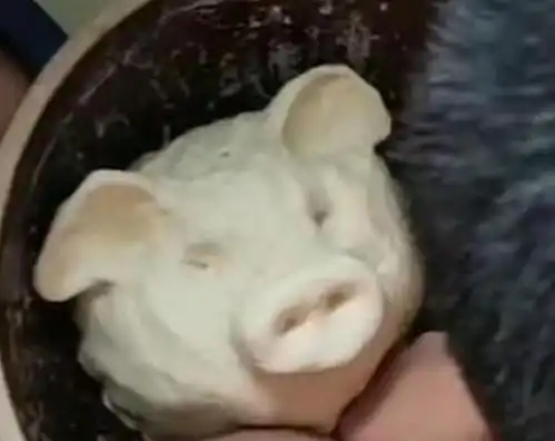 儿子想吃饺子,妈妈让他和面,儿子之后的操作搞笑
