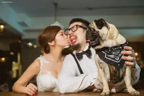 这样的婚礼简直不要太搞笑又感动哭了
