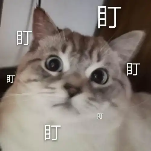 幽默笑话父亲乐于助人,在深夜冒着大雨帮助王寡妇修房顶

