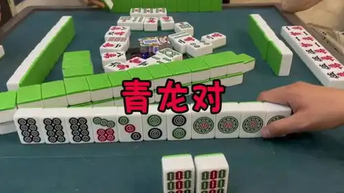 炸胡也是胡,谁怕谁贵阳捉鸡麻将
